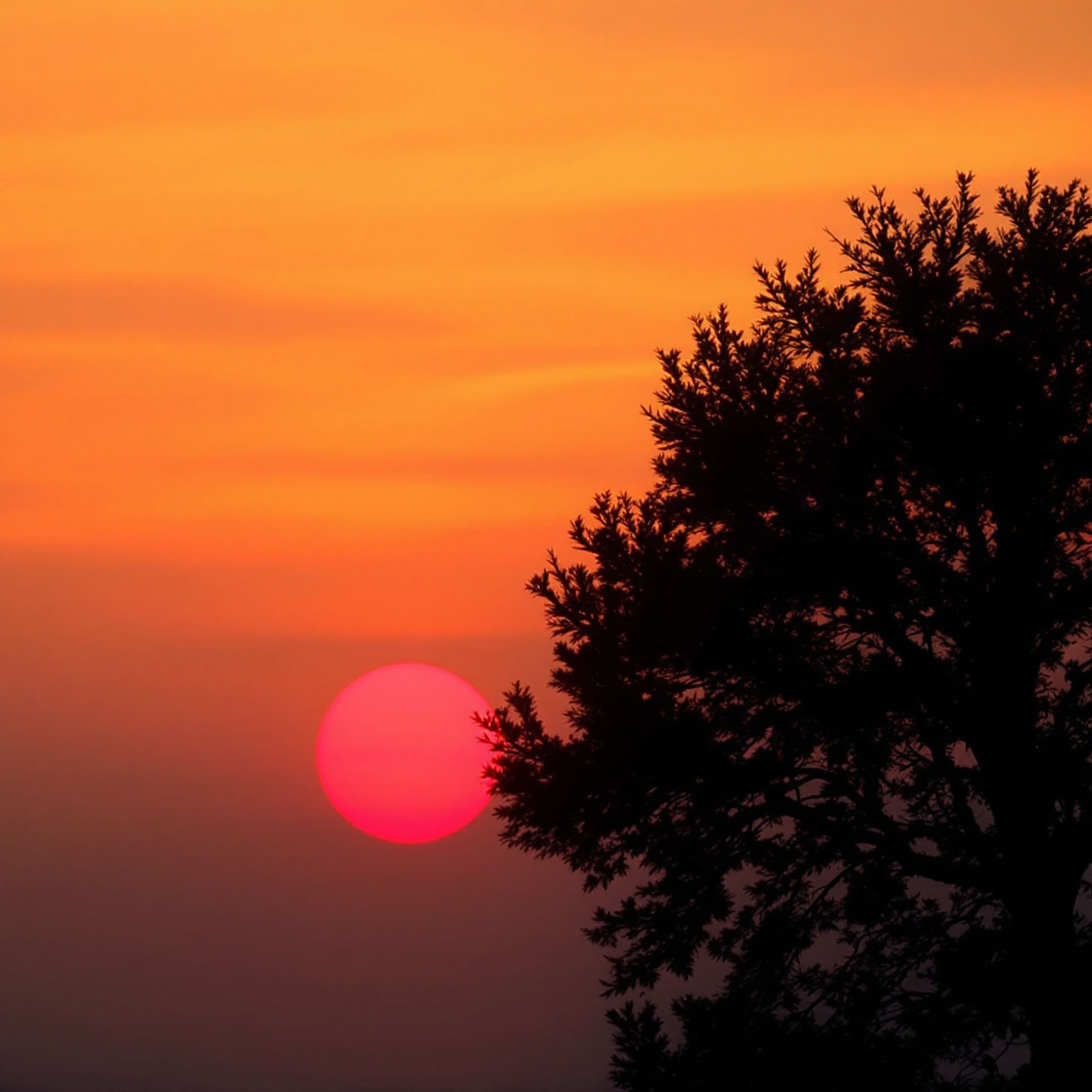 God’s Love and Light: Lessons from John 3